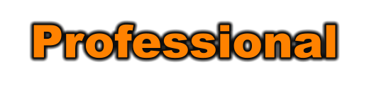 Professional